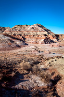 _MG_2905