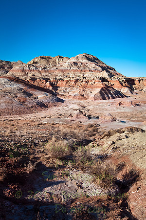 _MG_2905