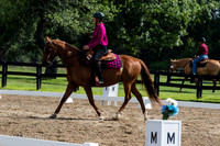 BV2A0310