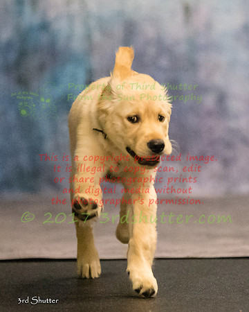 A18I0062