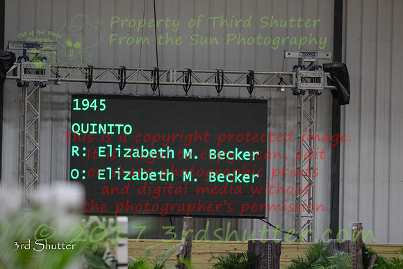 0E5A6027