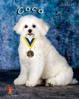 A18I0811-Edit-Edit-2