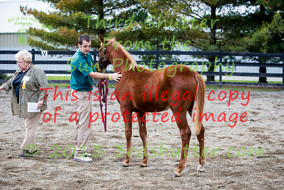 F43Q8889