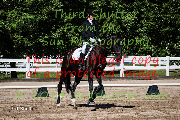 IMG_6452