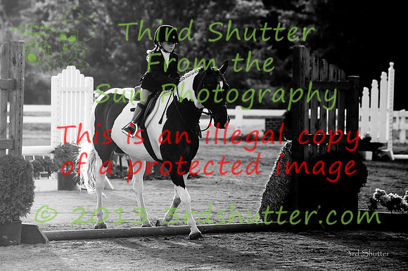 130817_WalkTrotClassic_0204