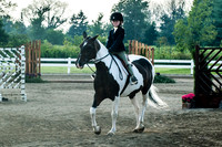 130817_WalkTrotClassic_0089