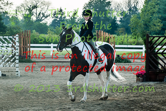 130817_WalkTrotClassic_0089