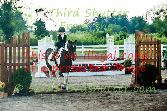130817_WalkTrotClassic_0079