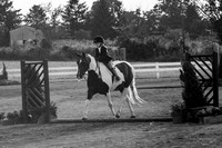 130817_WalkTrotClassic_0198