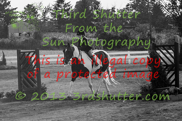 130817_WalkTrotClassic_0198