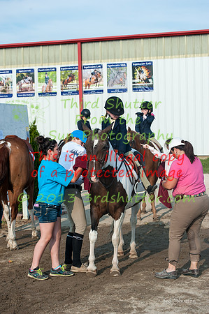 130817_WalkTrotClassic_0070