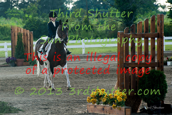 130817_WalkTrotClassic_0077