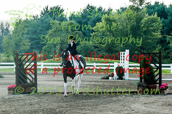 130817_WalkTrotClassic_0087