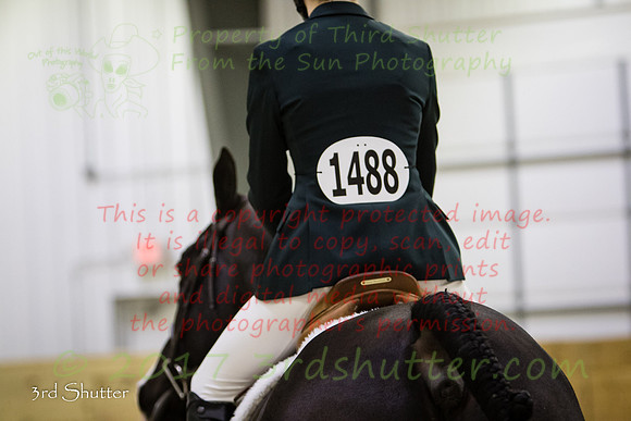 0E5A8411
