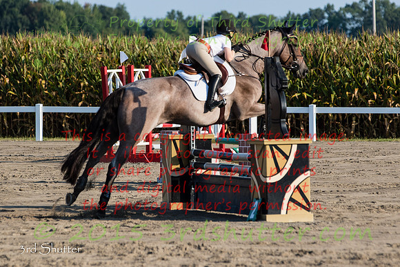BV2A7355