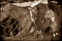 F43Q1936