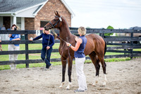 F43Q0102-2