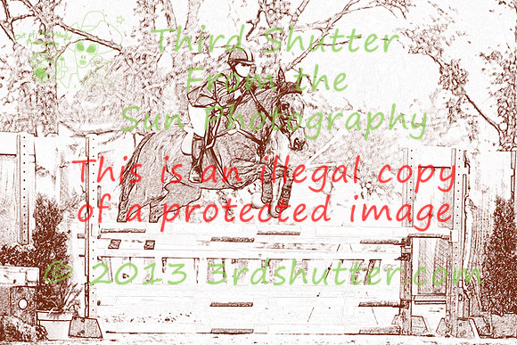 F43Q3351-Edit