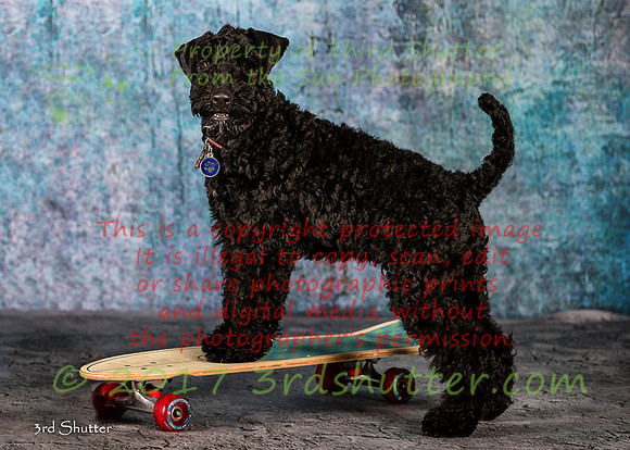 A18I1998-Edit-4