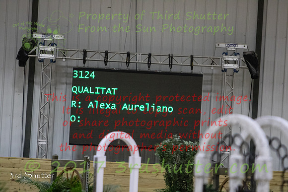 0E5A4511