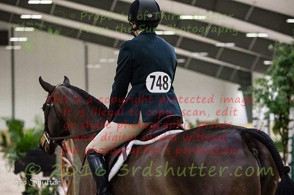_1SF8296