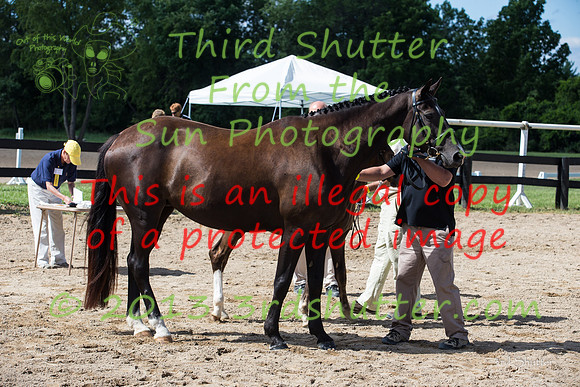 F43Q9509