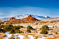 Wyoming_20080104_0B2D7784