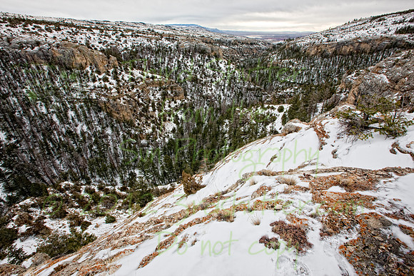 Wyoming_20080105_0B2D8274-Edit