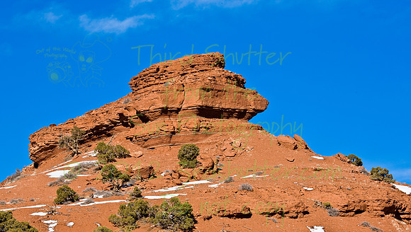Wyoming_20080104_0B2D7787