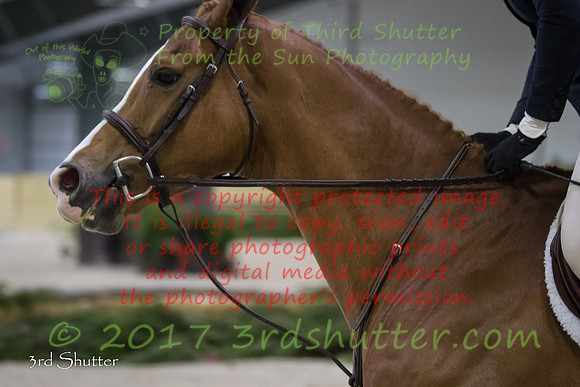 0M3A6997