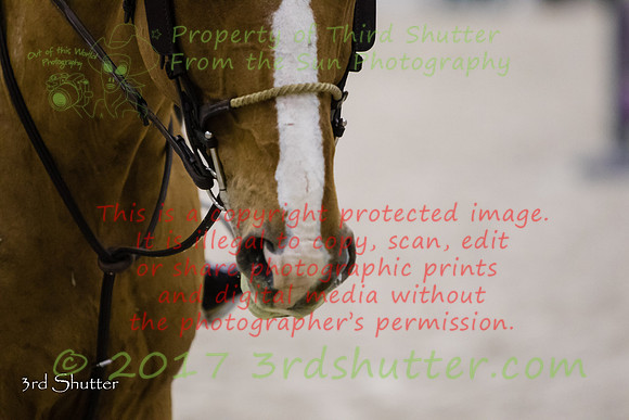 0M3A6709
