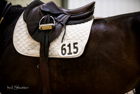 SF1_9328