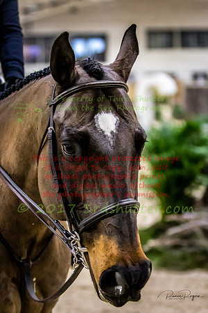 0M3A0235-Edit