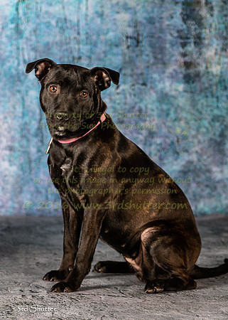 A18I9874-Edit-Edit-Edit