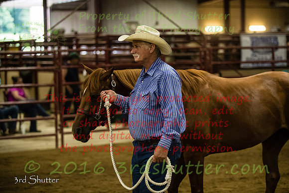 A18I9933