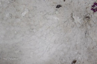 0M3A4202