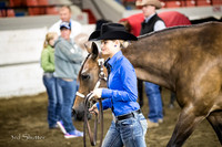 Halter - AQHA Youth Mares