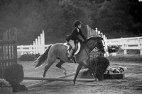 130817_WalkTrotClassic_0378