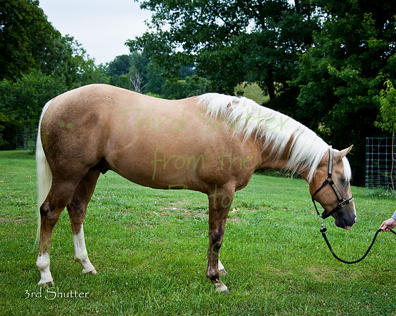 IMG_3295