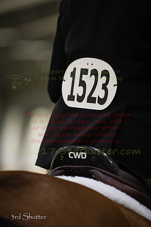 _1SF6786