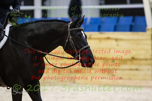 0M3A9384