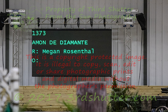 T5568x3708-00215