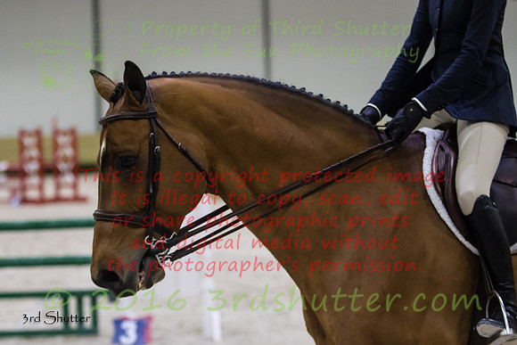 BV2A7388