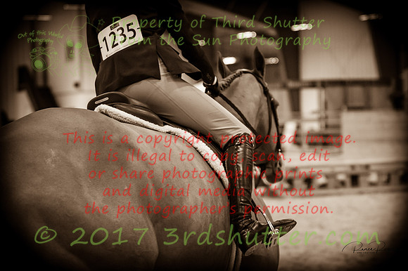 _1SF1751-3