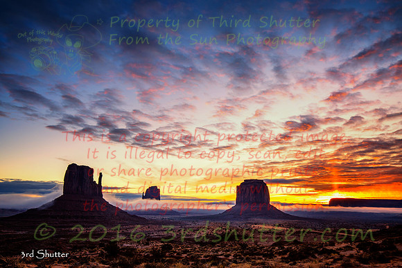 8J8A8469-Edit