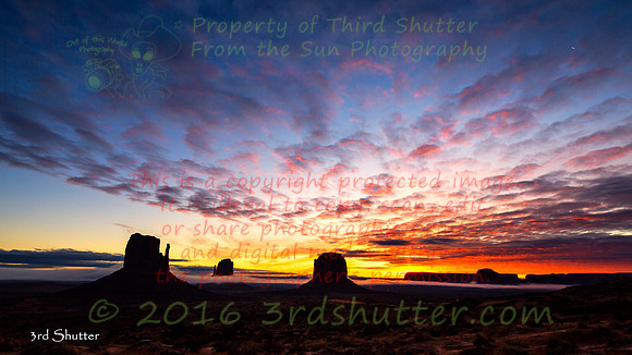 8J8A8461-Edit