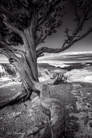 8J8A8015-Edit-Edit