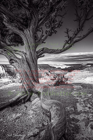 8J8A8015-Edit-Edit