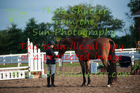 130816_WalkTrot_0008-2