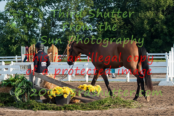 130816_WalkTrot_0005-2